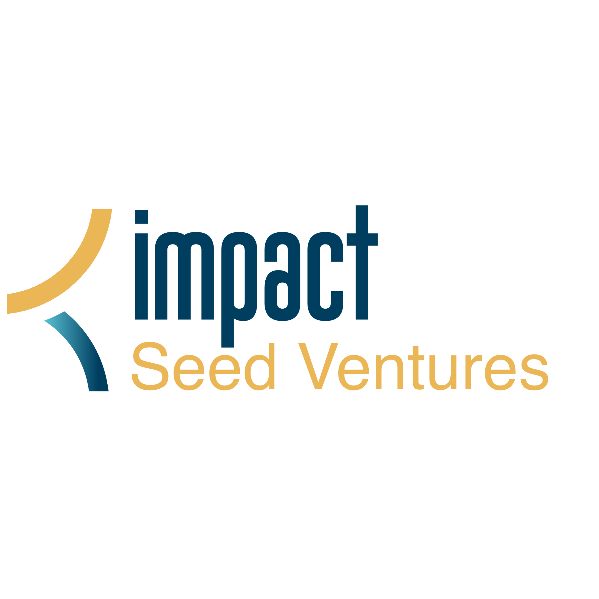 Impact Seed Venture